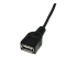 USBMUSBFM1 - StarTech.com Câble Mini USB 2.0 de 30cm - Gros plan