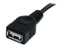 USBEXTAA6BK - StarTech.com Câble d'extension USB 2.0 A vers A de 1,8 m - Gros plan