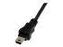 USBMUSBFM1 - StarTech.com Câble Mini USB 2.0 de 30cm - Gros plan