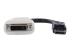 DP2DVI - StarTech.com Adaptateur vidéo DisplayPort vers DVI - De face